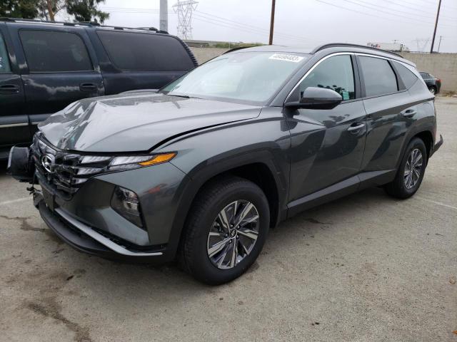 HYUNDAI TUCSON BLU 2023 with VIN KM8JBCA11PU100291 - Photo from auction