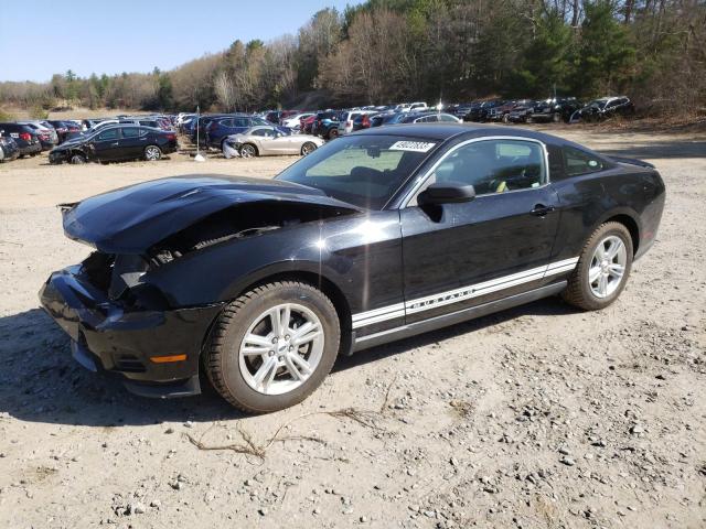 FORD MUSTANG 2011 with VIN 1ZVBP8AM4B5137207 - Photo from auction