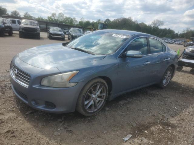 NISSAN MAXIMA S 2010 with VIN 1N4AA5AP6AC823404 - Photo from auction
