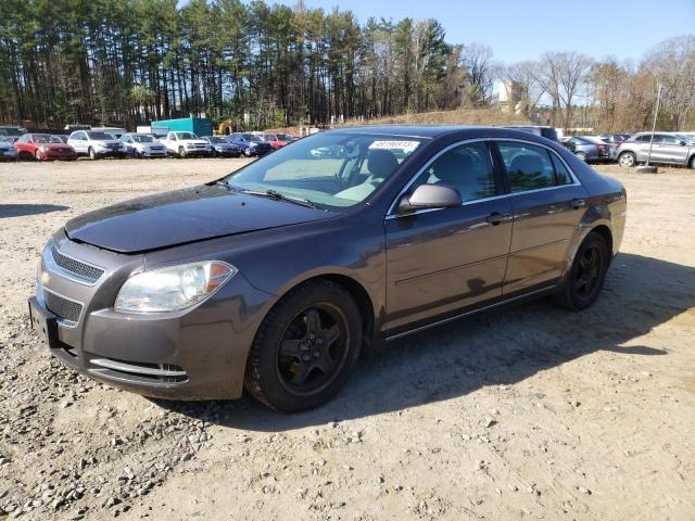 CHEVROLET MALIBU 1LT 2010 with VIN 1G1ZC5EBXA4152747 - Photo from auction