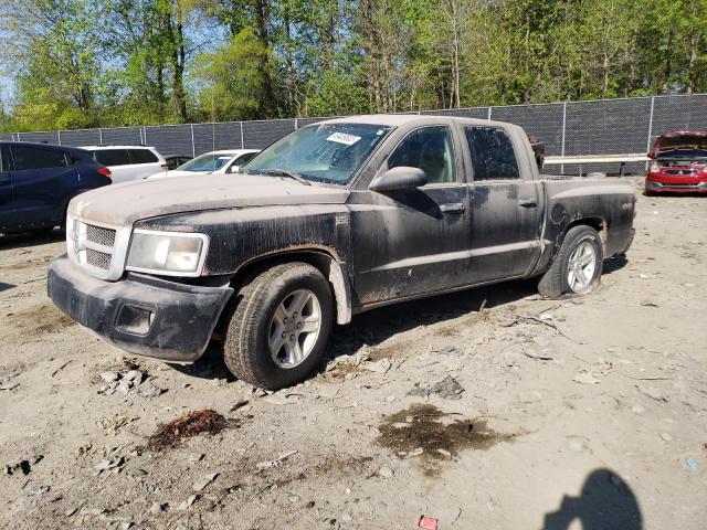 DODGE DAKOTA SLT 2011 with VIN 1D7RW3GP6BS559477 - Photo from auction