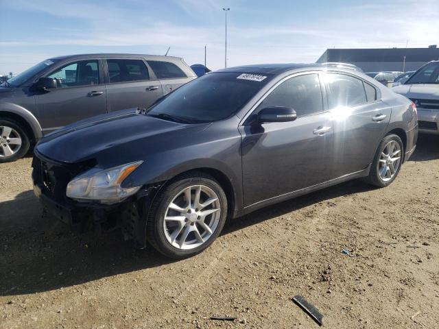 NISSAN MAXIMA S 2010 with VIN 1N4AA5AP8AC860065 - Photo from auction