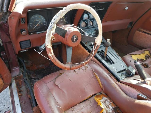Photo 8 from auction – 1981 CHEVROLET CORVETTE with VIN 1G1AY876XBS428518