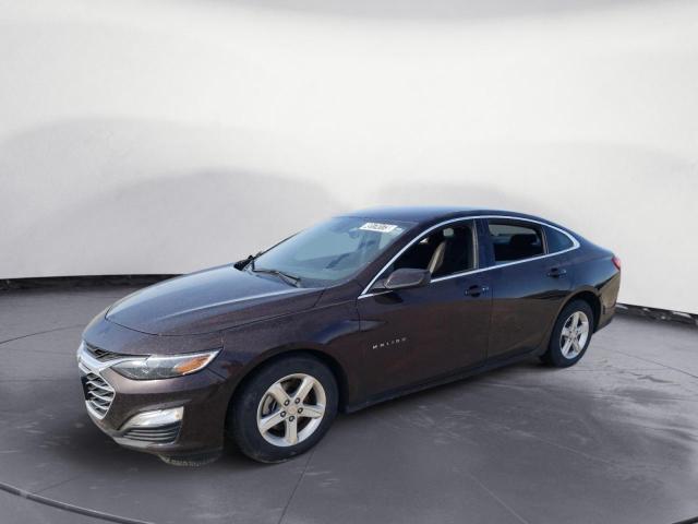 CHEVROLET MALIBU LS 2021 with VIN 1G1ZC5ST4MF054979 - Photo from auction