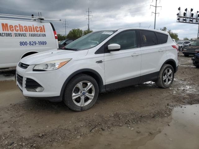 Photo 1 from auction – 2013 FORD ESCAPE SE with VIN 1FMCU9GX0DUA64381
