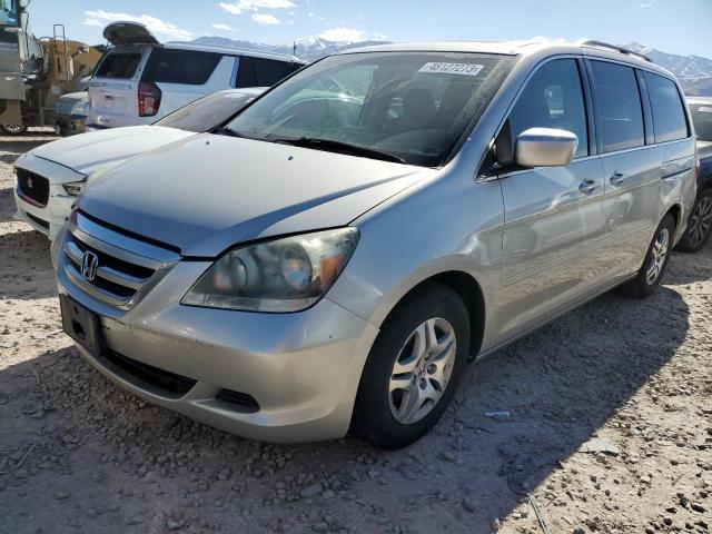 HONDA ODYSSEY EX 2005 with VIN 5FNRL38655B067131 - Photo from auction