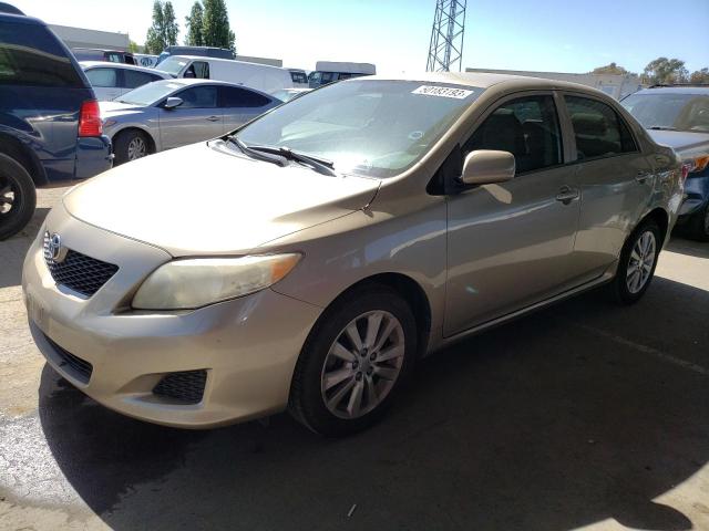 TOYOTA COROLLA BA 2010 with VIN 2T1BU4EE3AC484827 - Photo from auction