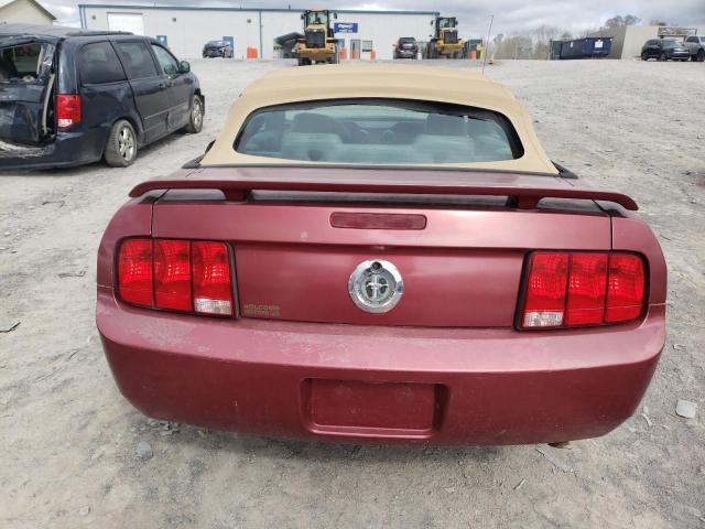 Photo 6 from auction – 2005 FORD MUSTANG with VIN 1ZVFT84N755215582