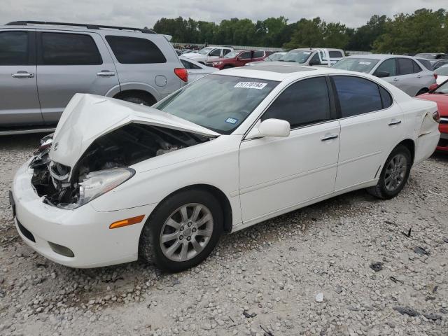 LEXUS ES 300 2002 with VIN JTHBF30G520069953 - Photo from auction