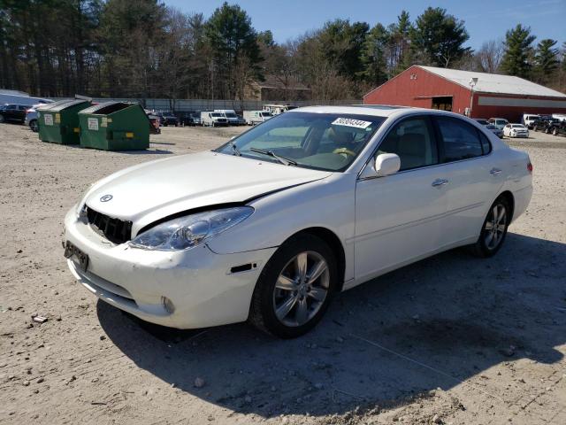 LEXUS ES 330 2005 with VIN JTHBA30G655091059 - Photo from auction
