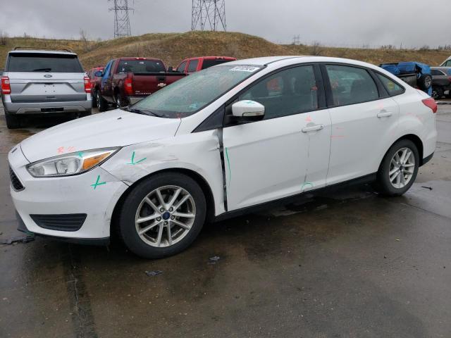 FORD FOCUS SE 2015 with VIN 1FADP3F2XFL304926 - Photo from auction