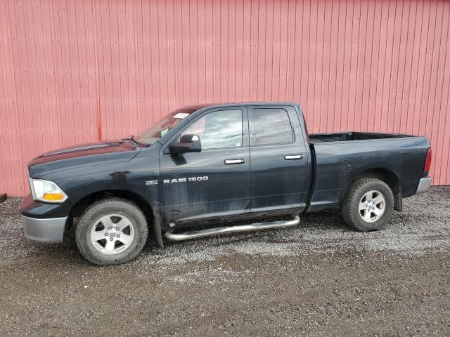 DODGE RAM 1500 2011 with VIN 1D7RV1GT3BS501251 - Photo from auction