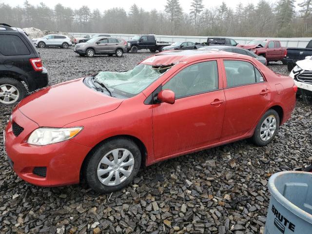 TOYOTA COROLLA BA 2010 with VIN 2T1BU4EE9AC308395 - Photo from auction