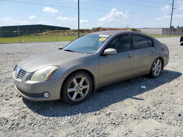 NISSAN MAXIMA SE 2004 with VIN 1N4BA41E74C830265 - Photo from auction