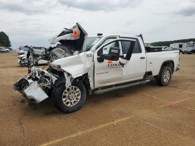 CHEVROLET SILVERADO 2023 with VIN 1GC1YLEY2PF215433 - Photo from auction
