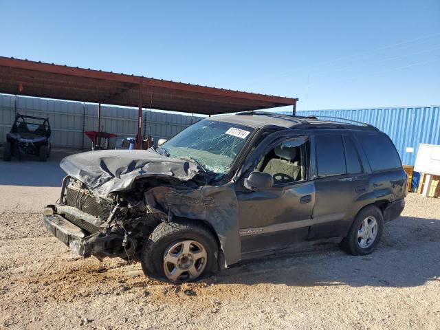 CHEVROLET TRAILBLAZE 2003 with VIN 1GNDS13S132132781 - Photo from auction