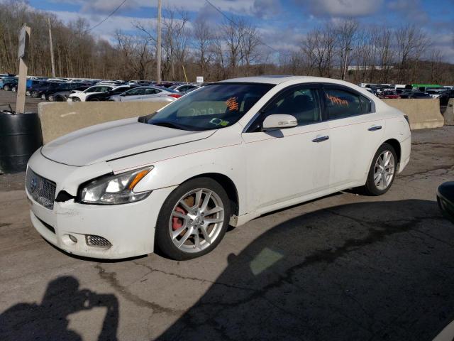 NISSAN MAXIMA 2012 with VIN 1N4AA5AP1CC811020 - Photo from auction
