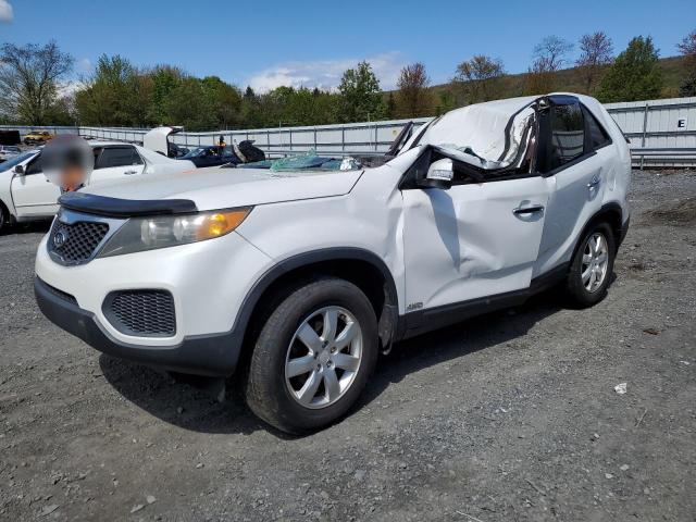 KIA SORENTO BA 2011 with VIN 5XYKTCA18BG172170 - Photo from auction