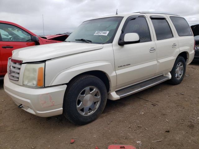 CADILLAC ESCALADE L 2002 with VIN 1GYEC63T92R221028 - Photo from auction