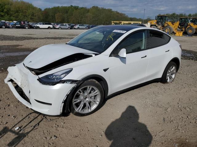 TESLA MODEL Y 2023 with VIN 7SAYGDEE3PA099824 - Photo from auction