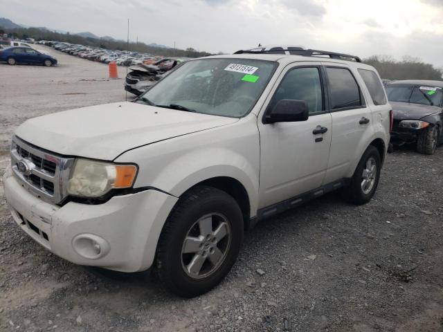 FORD ESCAPE XLT 2011 with VIN 1FMCU0D73BKB37185 - Photo from auction