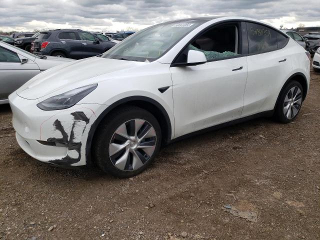 TESLA MODEL Y 2023 with VIN 7SAYGDEE7PF895379 - Photo from auction
