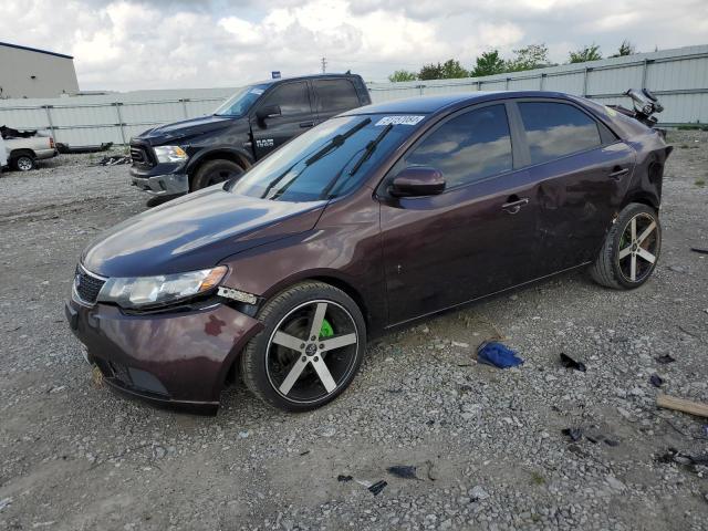 KIA FORTE EX 2011 with VIN KNAFU4A23B5409067 - Photo from auction