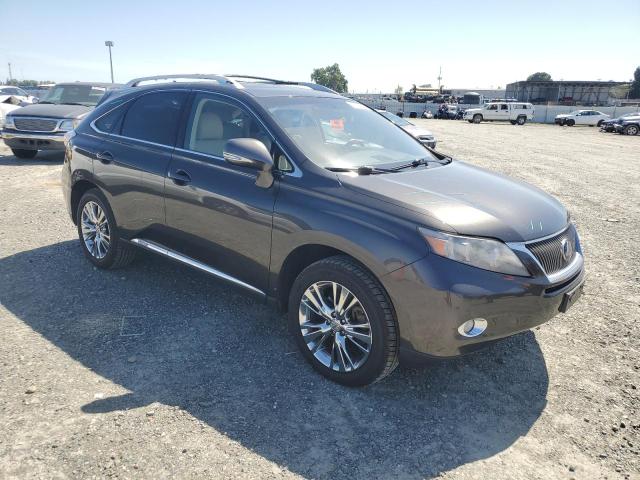 Photo 4 from auction – 2010 LEXUS RX 450 with VIN JTJBC1BA3A2411892