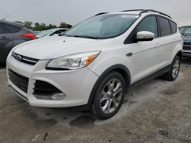 FORD ESCAPE SEL 2013 with VIN 1FMCU0HX1DUB08236 - Photo from auction