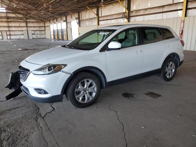 MAZDA CX-9 TOURI 2013 with VIN JM3TB2CA4D0423894 - Photo from auction