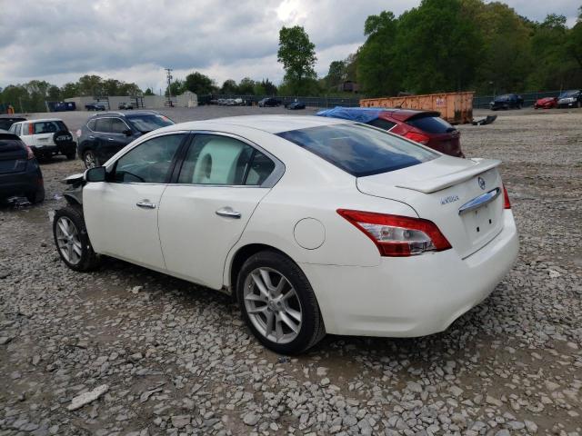 Photo 2 from auction – 2011 NISSAN MAXIMA S with VIN 1N4AA5AP7BC802742