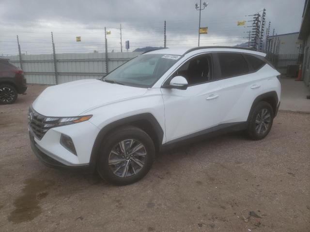 HYUNDAI TUCSON BLU 2023 with VIN KM8JBCA13PU084594 - Photo from auction