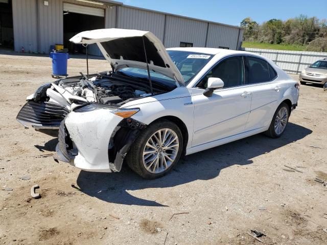 TOYOTA CAMRY XLE 2020 with VIN 4T1F31AK4LU009283 - Photo from auction