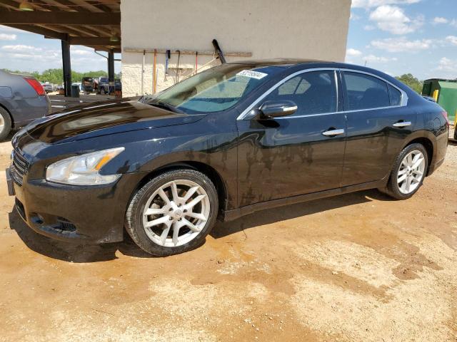 NISSAN MAXIMA S 2010 with VIN 1N4AA5AP4AC819044 - Photo from auction