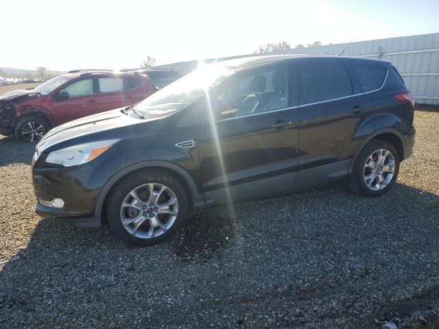 FORD ESCAPE SEL 2013 with VIN 1FMCU0H9XDUD11160 - Photo from auction