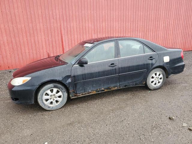 TOYOTA CAMRY LE 2002 with VIN JTDBF32K720044443 - Photo from auction