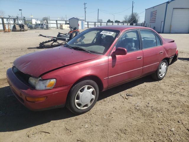 TOYOTA COROLLA DX 1996 with VIN 1NXBB02E1TZ406034 - Photo from auction