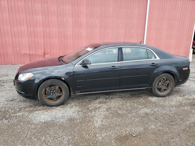 CHEVROLET MALIBU 2LT 2011 with VIN 1G1ZD5E72BF325840 - Photo from auction