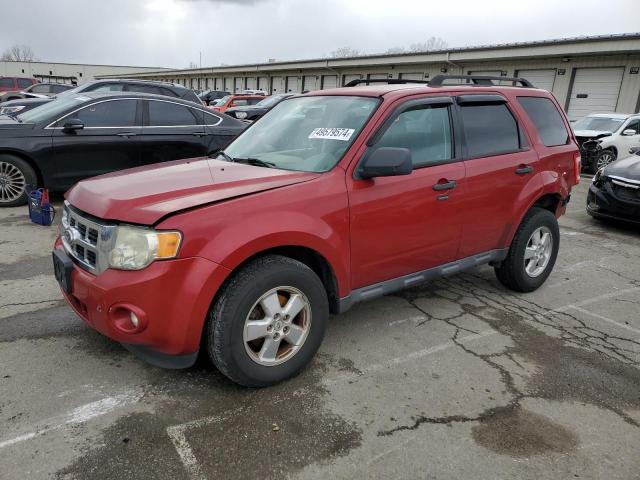 FORD ESCAPE XLT 2010 with VIN 1FMCU0DG4AKA62852 - Photo from auction