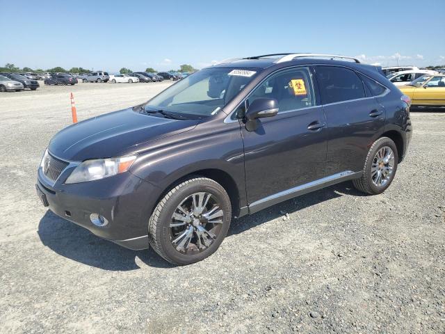 LEXUS RX 450 2010 with VIN JTJBC1BA3A2411892 - Photo from auction
