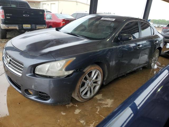 NISSAN MAXIMA S 2010 with VIN 1N4AA5AP4AC804947 - Photo from auction