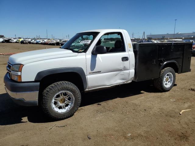 CHEVROLET SILVERADO 2005 with VIN 1GBHC24U65E239019 - Photo from auction