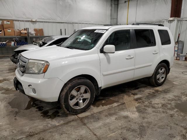 HONDA PILOT EXL 2009 with VIN 5FNYF485X9B033806 - Photo from auction