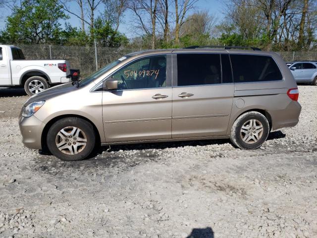HONDA ODYSSEY EX 2007 with VIN 5FNRL38737B430120 - Photo from auction