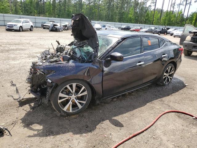 NISSAN MAXIMA 3.5 2017 with VIN 1N4AA6AP0HC397869 - Photo from auction