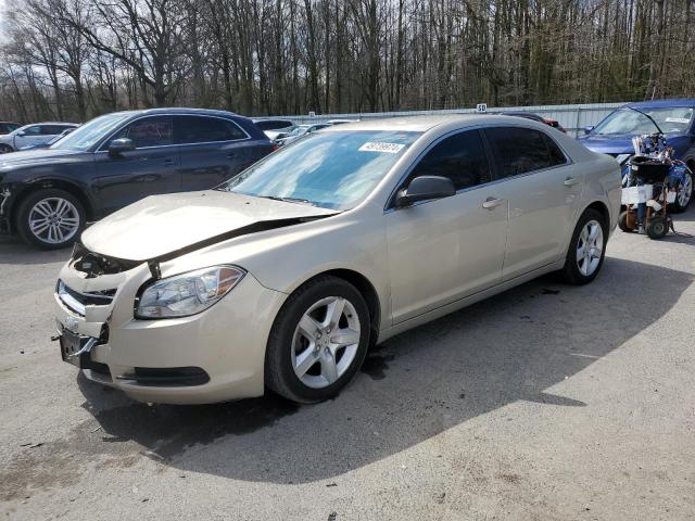 CHEVROLET MALIBU LS 2011 with VIN 1G1ZB5E15BF114827 - Photo from auction