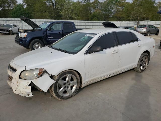 CHEVROLET MALIBU LS 2010 with VIN 1G1ZB5EB6AF271323 - Photo from auction