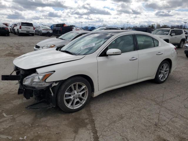 NISSAN MAXIMA S 2009 with VIN 1N4AA51E19C833901 - Photo from auction