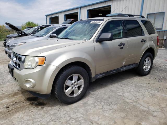 FORD ESCAPE XLT 2010 with VIN 1FMCU0D73AKD09875 - Photo from auction
