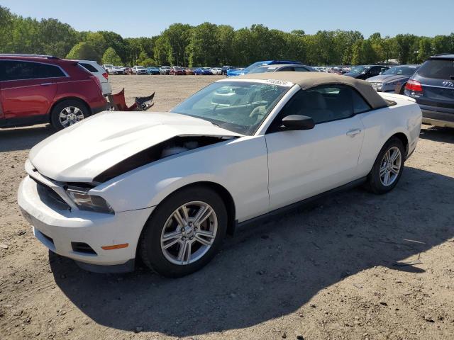 FORD MUSTANG 2011 with VIN 1ZVBP8EM2B5150435 - Photo from auction